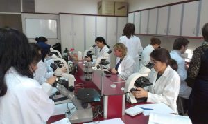 تحصیل داروسازی در دانشگاه آنکارا