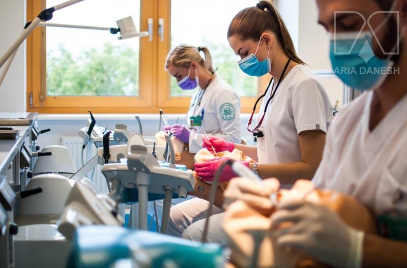 تحصیل دندانپزشکی در اسلواکی