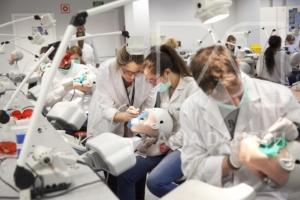 تحصیل دندانپزشکی در لهستان